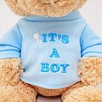 It's a Boy Teddy Bear