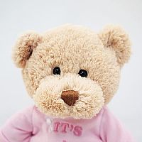 It's a Girl Teddy Bear