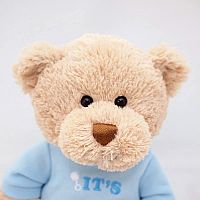 It's a Boy Teddy Bear