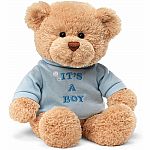 It's a Boy Teddy Bear