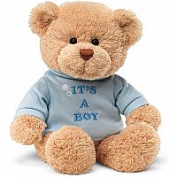 It's a Boy Teddy Bear