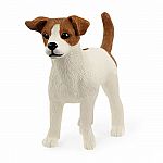 Jack Russell Terrier.