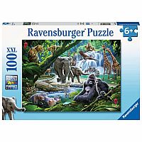 Jungle Animals - Ravensburger  