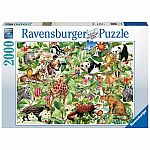 Jungle - Ravensburger 