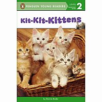 Kit-Kit-Kittens