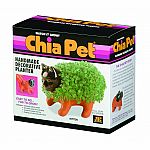 Kitten Chia Pet.