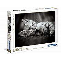 Kitty - Clementoni  