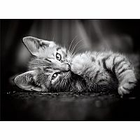 Kitty - Clementoni  