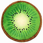 Kiwi - Comfort Food Squishable