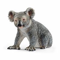 Koala Bear.