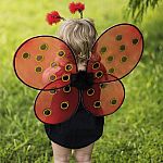 Ladybug Wings & Headband  