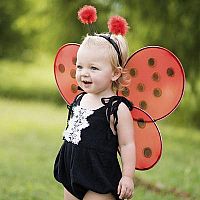 Ladybug Wings & Headband  