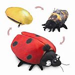 Ladybug Life Cycle Reversible Puppet