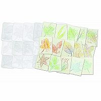 Leaf Rubbing Plates