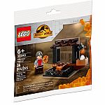Jurassic World: Dinosaur Market - Polybag - Retired