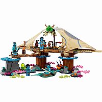 Avatar: Metkayina Reef Home - Retired.