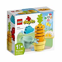 Duplo: Growing Carrot