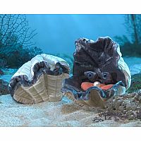 Giant Clam Puppet.