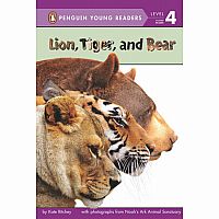 Lion, Tiger, and Bear