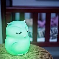 Owl Night Lamp Companion   