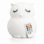 Owl Night Lamp Companion   