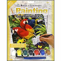 Paint by Number - Majestic Macaws.