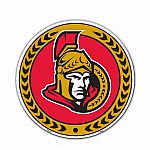 Ottawa Senators Magnet - 8 inch