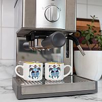 Turtle Espresso Mugs - Set of Two