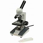 My First Lab Microscope