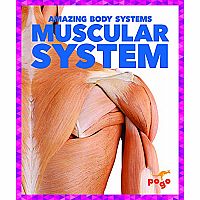 Muscular System - Amazing Body Systems 