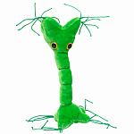 Giant Microbes - Nerve Cell