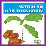 Watch An Oak Tree Grow  