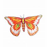 Fantasy Butterfly Wings - Pink and Orange