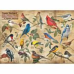 Popular Back Yard Wild Birds of North America - Cobble Hill
