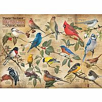 Popular Back Yard Wild Birds of North America - Cobble Hill