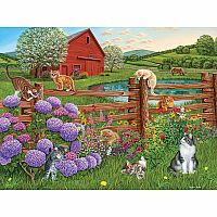 Farm Cats - Cobble Hill  