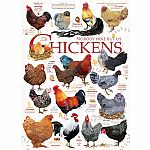 Chicken Quotes - Cobble Hill