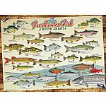 Freshwater Fish of North America - Cobble Hill