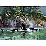 Orcas - Cobble Hill