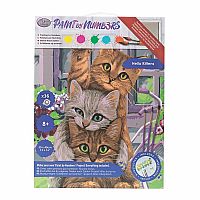 Paint by Numbers - Hello Kittens