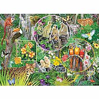 Rainforest Magic - Family - Cobble Hill