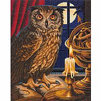 Crystal Art Large Framed Kit - The Astrological Owl