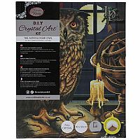 Crystal Art Large Framed Kit - The Astrological Owl