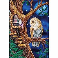Crystal Art Notebook - Fairy Tales: Owl and Fairy. 