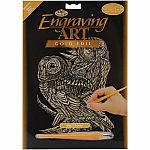 Engraving Art - Owls