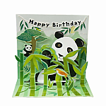 Pandas Birthday Pop-Up Card