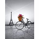 Romantic Promenade in Paris - Clementoni