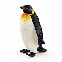 Emperor Penguin.
