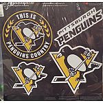 Pittsburgh Penguins Premium Magnet Kit 