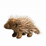 Percy Porcupine. 